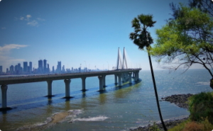 India6 300x185